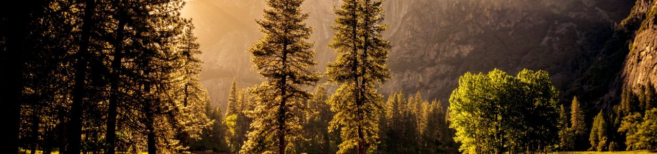 pexels-photo-131723.jpeg